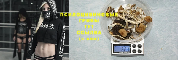 jwh Армянск