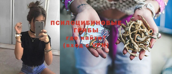 мет Аркадак