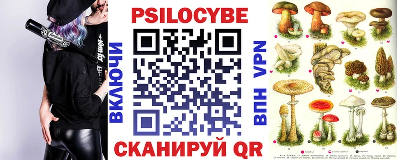 где найти наркотики  Новоаннинский  Галлюциногенные грибы Psilocybe 