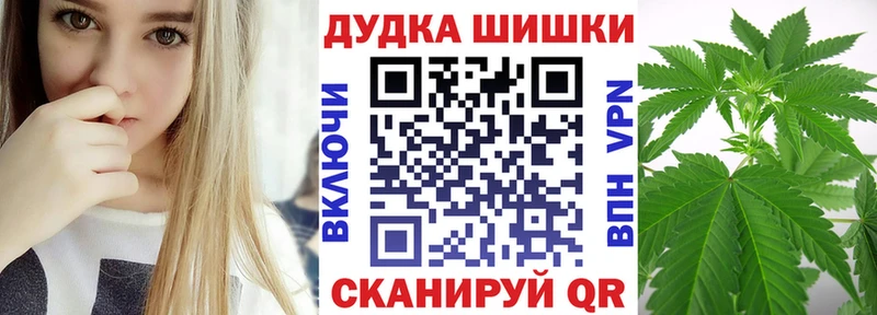 продажа наркотиков  Новоаннинский  дарк нет Telegram  Каннабис план 